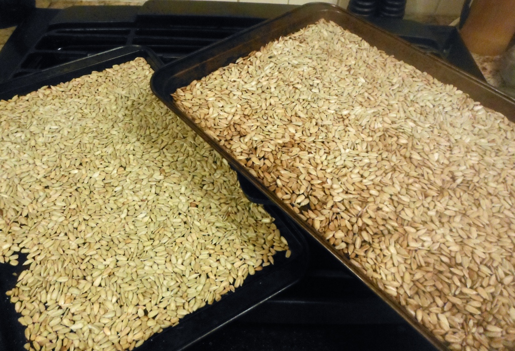 Homemade Sunflower Seed Butter Amanda Naturally