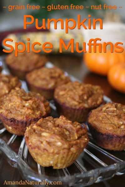 Pumpkin Spice Muffins | grain free, gluten free, nut free | AmandaNaturally.com