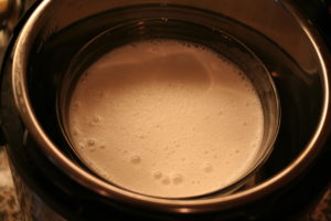 Coconut Milk Yogurt | dairy-free | AmandaNaturally.com